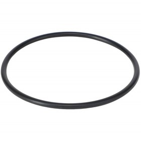 Resim AGCO 3'' Manifold Uç Kapağı Contası - AGCO | AG428431 