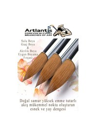 Resim Resim Fırçası 5 Numara 5 Li 1 Paket Samur Yuvarlak Uçlu Fırça Seti Guaj Sulu Akrilik Yağlı Boya Fırçaları 