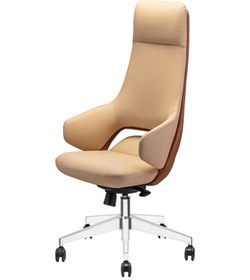 Resim Uzay Ofis Pars Müdür Koltuğu 