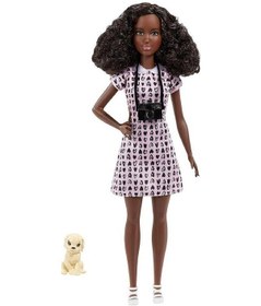 Resim Barbie Kariyer Bebekleri Dvf50-hcn10 