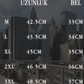 Resim Unisex Manhattan Şehir Manzarası Şort - XL 
