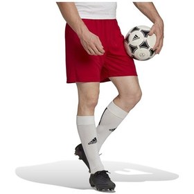 Resim Adidas Ent22 Sho Erkek Futbol Maç Şortu H61735 Kırmızı 001 