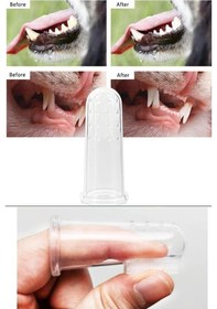 Resim Kedi Köpek Parmak Diş Fırçası Kutulu Evcil Hayvan Diş Fırçası 