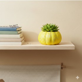 Resim Alba Home Decor Balkabağı sukulent kaktüs arajman saksı 