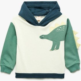 Resim Erkek Bebek Dinozor Baskılı Pamuklu Uzun Kollu Şardonlu Kapşonlu Sweatshirt 