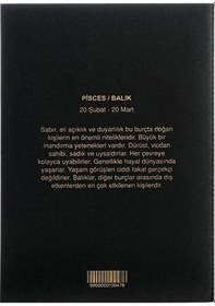 Resim Balık Burcu Yıldız Haritası Defter 