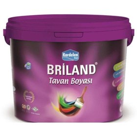 Resim kardelen boya Briland Tavan 18 kg 