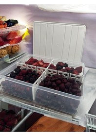 Resim Selka Nora 2 Adet 4 Lt. Bölmeli Saklama Kabı Açık Gri 