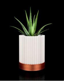 Resim Greennest Mini Duvar Saksısı Sukulent Dekoratif Duvar Saksısı-6 