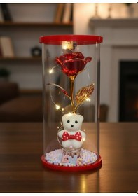 Resim Cam Fanus İçinde Kırmızı Sonsuzluk Gülü Ve Beyaz Ayıcık Led Işıklı Dekoratif Hediye 20 Cm Boy-20 Cm 