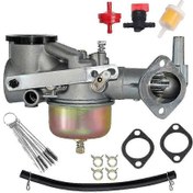 Resim 491590 Karbüratör Uyumlu 191700 192700 193700 Motor Serisi Uyumlu 390811 392152 491029 A5357 