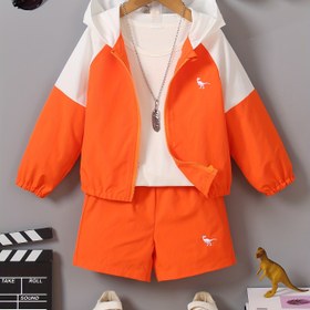 Resim Erkek Çocukları için Dinozor Nakışlı Uzun Kollu Kapüşonlu Sweatshirt & Şort Takımı - Günlük, Makinede Yıkanabilir Kıyafet İlkbahar/Yaz için, Dış Mekan için Mükemmel 