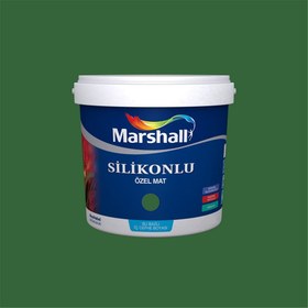 Resim Marshall 70GY 11/300 2,5 Litre Silikonlu Özel Mat Su Bazlı İç Cephe Boyası (MARSHALL.5134339) 