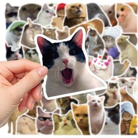 Resim Çılgın Kediler Macbook Notebook Tablet Telefon Ajanda Laptop Def 