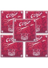 Resim Çöğür Uzun Sap Saz Teli 5 Adet+5 Adet Mızrap 