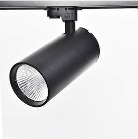 Resim Silindir Philips Ledli 30W Monofaze Siyah Ray Spot Gün Işığı 
