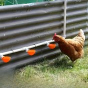 Resim 16'lı Dayanıklı Otomatik Kanatlı İçme Kupaları Sızıntı-Proof T-Bağlantıları - Tavuk, Ördek, Kaz, Hindi için Temel Kanatlı Kümes Aksesuarları | Plastik, Elektriksiz ve Pilsiz 