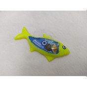 Resim Balık Görünümlü Magnet Yeşil Mıknatıslı Deniz Kabuklu Kemer Yazıl 