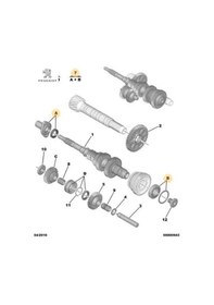Resim Prizdirek Rulman Kiti Boxer 508 5008 Expert Iii Dw10fd 