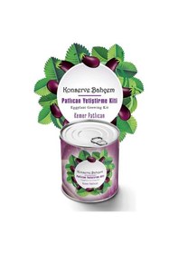 Resim Konserve Bahçem Evde Konservede Kemer Patlıcan Yetiştirme Kiti 