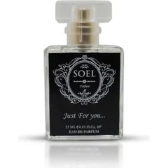 Resim Soel Parfüm 25 ml Edp Erkek Parfümü 
