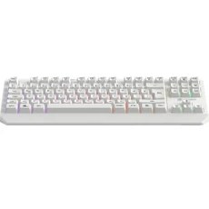Resim Gamebooster G75 Elya Rainbow Aydınlatmalı Beyaz Tkl Membrane Gaming Klavye 