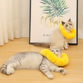 Resim Kedi Elizabeth Boyunlukları Kedi Kurtarma Boyunluk Yumuşak Elizabeth Evcil Hayvan Konisi Ameliyat Sonrası Kedi için 