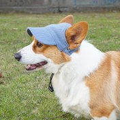 Resim 1 adet Nefes Alabilen Pet Beyzbol Şapkası - Köpek Özel, Dış Mekan Kullanımı İçin Kadife Pet Güneş Şapkası, Köpek Rahat Güneş Şapkası, Kediler ve Köpekler İçin Serin ve Moda Şapka 