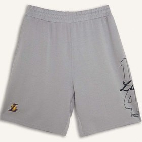 Resim Defacto Nba Los Angeles Lakers Lisanslı Baggy Fıt Açık Gri Şort H3845ax26smgr94 Gri-gr94 