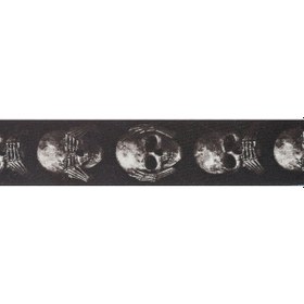 Resim Planetwaves 50Al01 Gitar Askısı 50Mm Alchemy Str-Muted Skull 