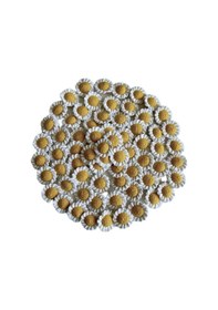 Resim Neslihan Hobi Dünyası Amigurumi Papatya Anahtarlık 25 Adet 