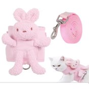 Resim Evcil Hayvan Peluş Ayıcıklı Göğüs Gezdirme Tasması Set 
