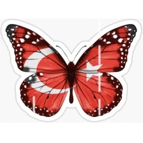 Resim Tsc 16 cm Kelebek ve Ay Yıldız Yapıştırma Etiket Araba Cam Md4 