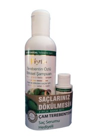 Resim Fiyto Terebentin Özlü Bitkisel Şampuan 500 ML 
