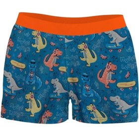 Resim Swimfoam Dinosaur Erkek Çocuk Mayosu 