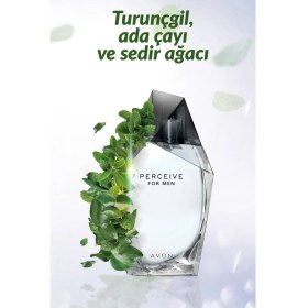 Resim Avon Perceive Erkek Parfüm EDT 100 ML 