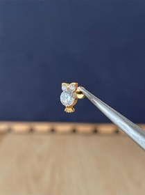 Resim %100 G23 Titanyum Baykuş Zirkon Altın Titanyum 6 Mm Labret Kıkırdak Piercing Çok Renkli 