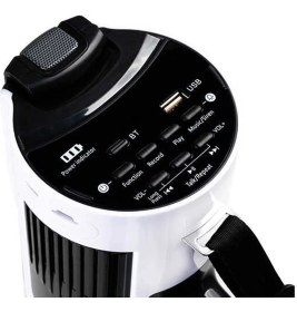 Resim Westa WM-90PU Type-C 100 Watt Mayk Mikrofonlu USB-TF-Bluetooth Megafon 