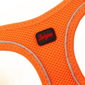 Resim Lucky Paw Göğüs Tasması - TURUNCU (FOSFORLU) - M 