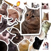 Resim 110 adet Kedi Meme Sticker Seti depolama kutusu ile, Pil Gerektirmez, Tüy Olmayan, Günlükler, Scrapbooklar, DIY El Sanatları, Dizüstü Bilgisayarlar ve Telefon Kılıfları için İdeal, Kedi Sticker 