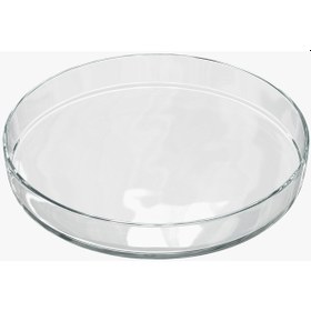 Resim Petri Kabi (Ø 100 Mm. Cam) 