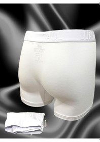 Resim Beyaz Erkek Boxer Beyaz 