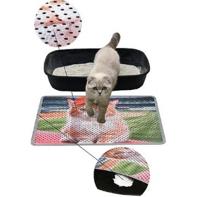 Resim Kar Mat Kedi Tuvaleti Paspası Delikli Kedi Kumu Paspası Şapkalı 