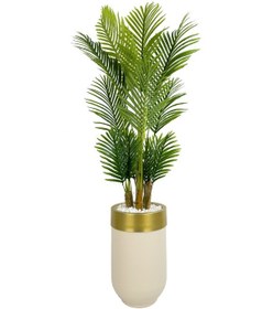 Resim Areka Palmiyesi 160cm Krem Gold Metal Darbuka Saksıda H 