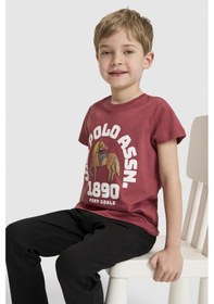Resim U.s. Polo Assn. Erkek Çocuk Vişne Tişört 50327000-vr223 