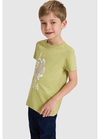 Resim U.s. Polo Assn. Erkek Çocuk Çağla Tişört 50325605-vr016 Cagla 
