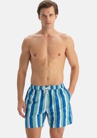 Resim Dagi Erkek Swimwear 26sw46028dk 