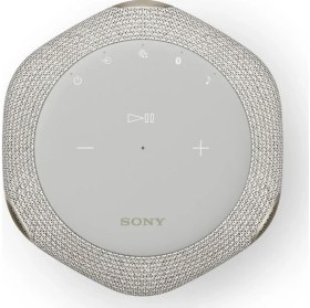 Resim Sony SRS-RA3000 Birinci Sınıf Kablosuz Hoparlör Gri 