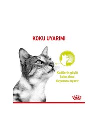 Resim Royal Canin Sensory Smell Gravy Yetişkin Kedi Konservesi 6 x 85 G 
