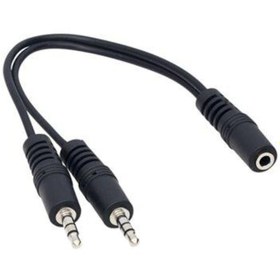 Resim Wellhise 2.5 Mm Erkek - 2X3.5 Mm Dişi Mikrofon Kulaklık Ayırıcı K N11.57355 